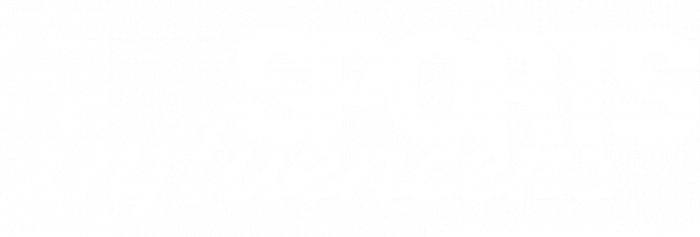 Logo Sports influencers